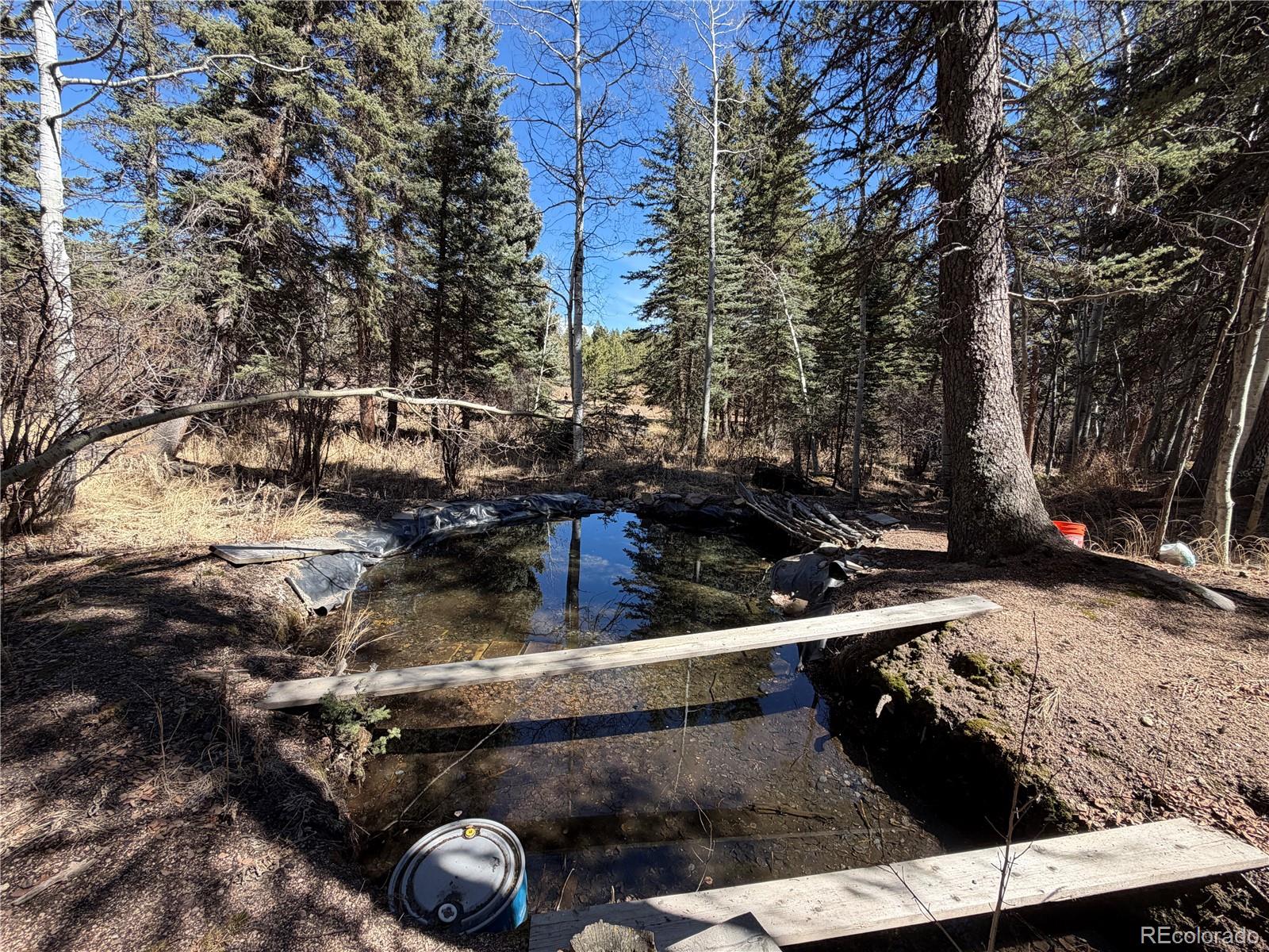 249 Gold Dust Creek Road Florissant CO 80816