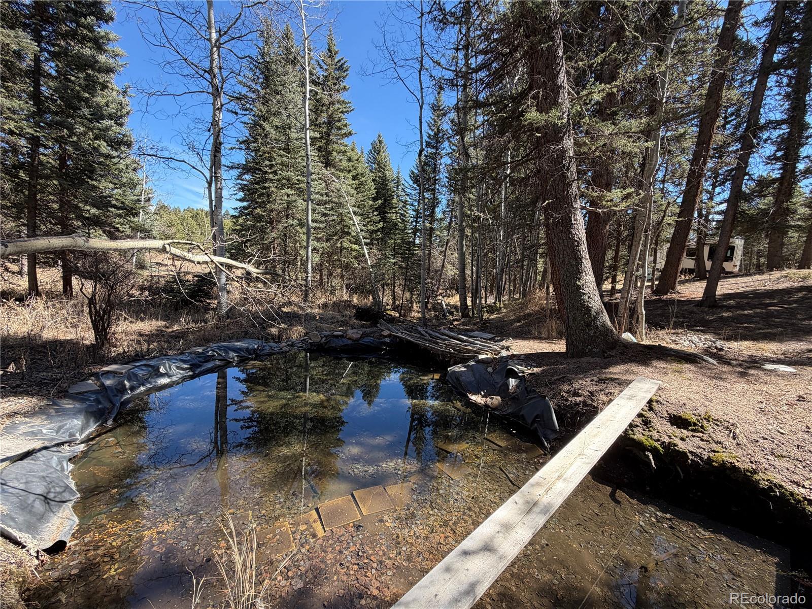 249 Gold Dust Creek Road Florissant CO 80816