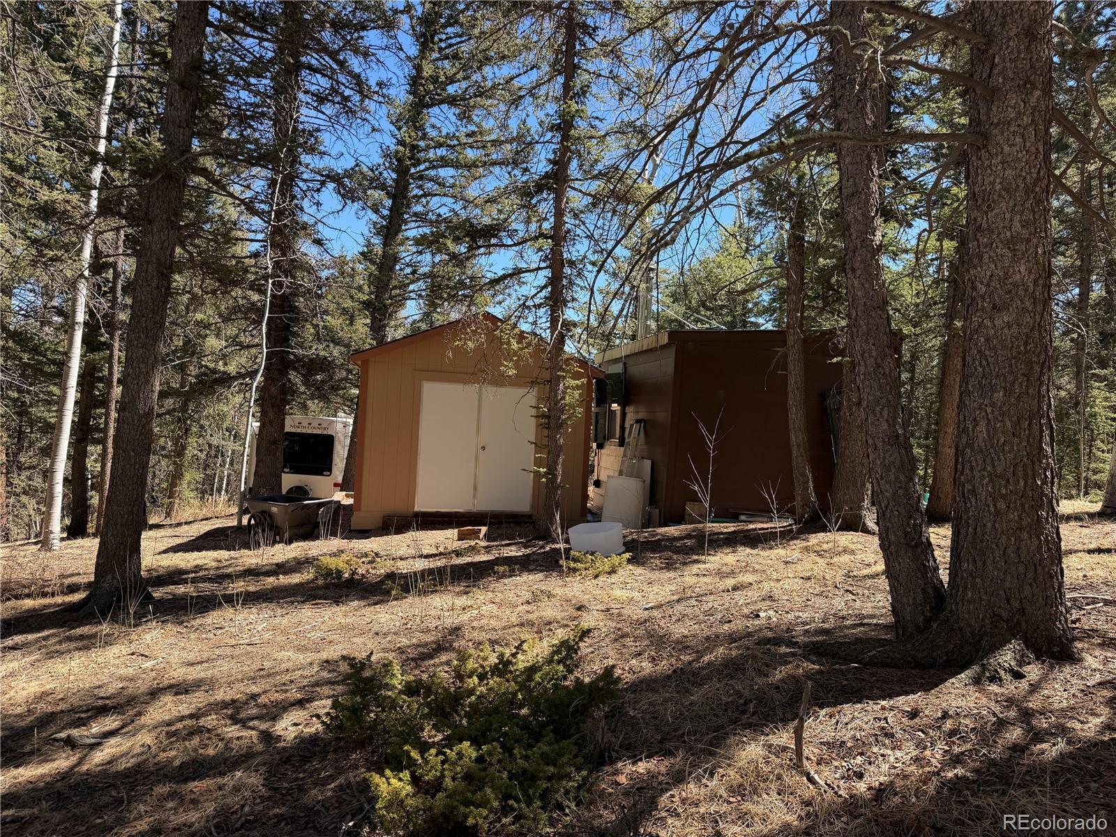 249 Gold Dust Creek Road Florissant CO 80816