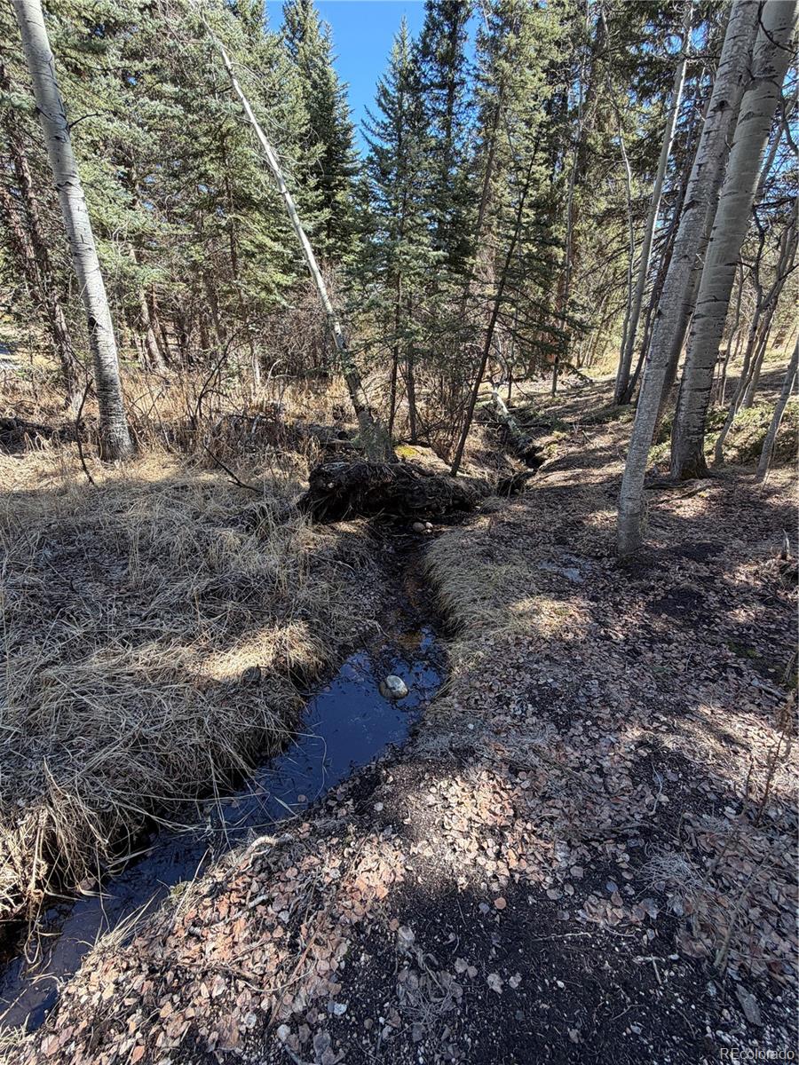 249 Gold Dust Creek Road Florissant CO 80816