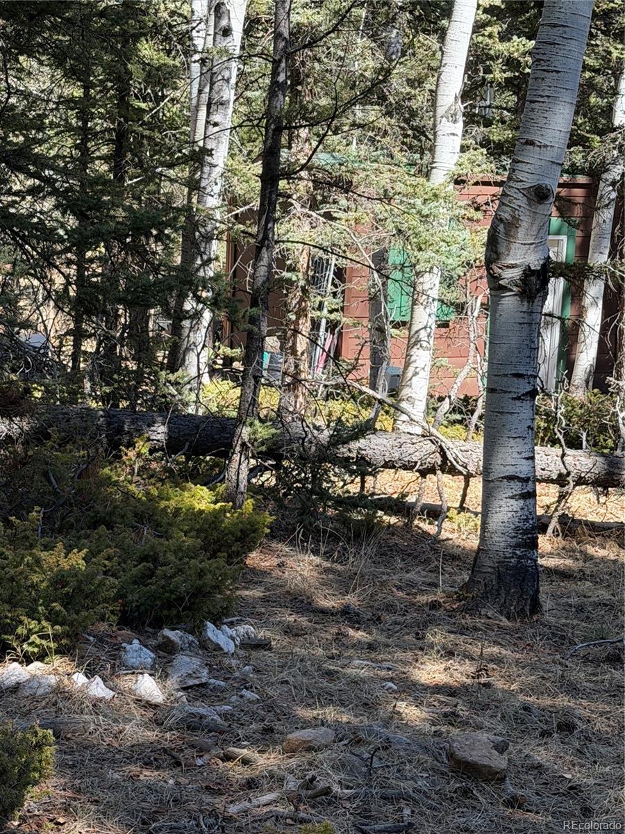 249 Gold Dust Creek Road Florissant CO 80816