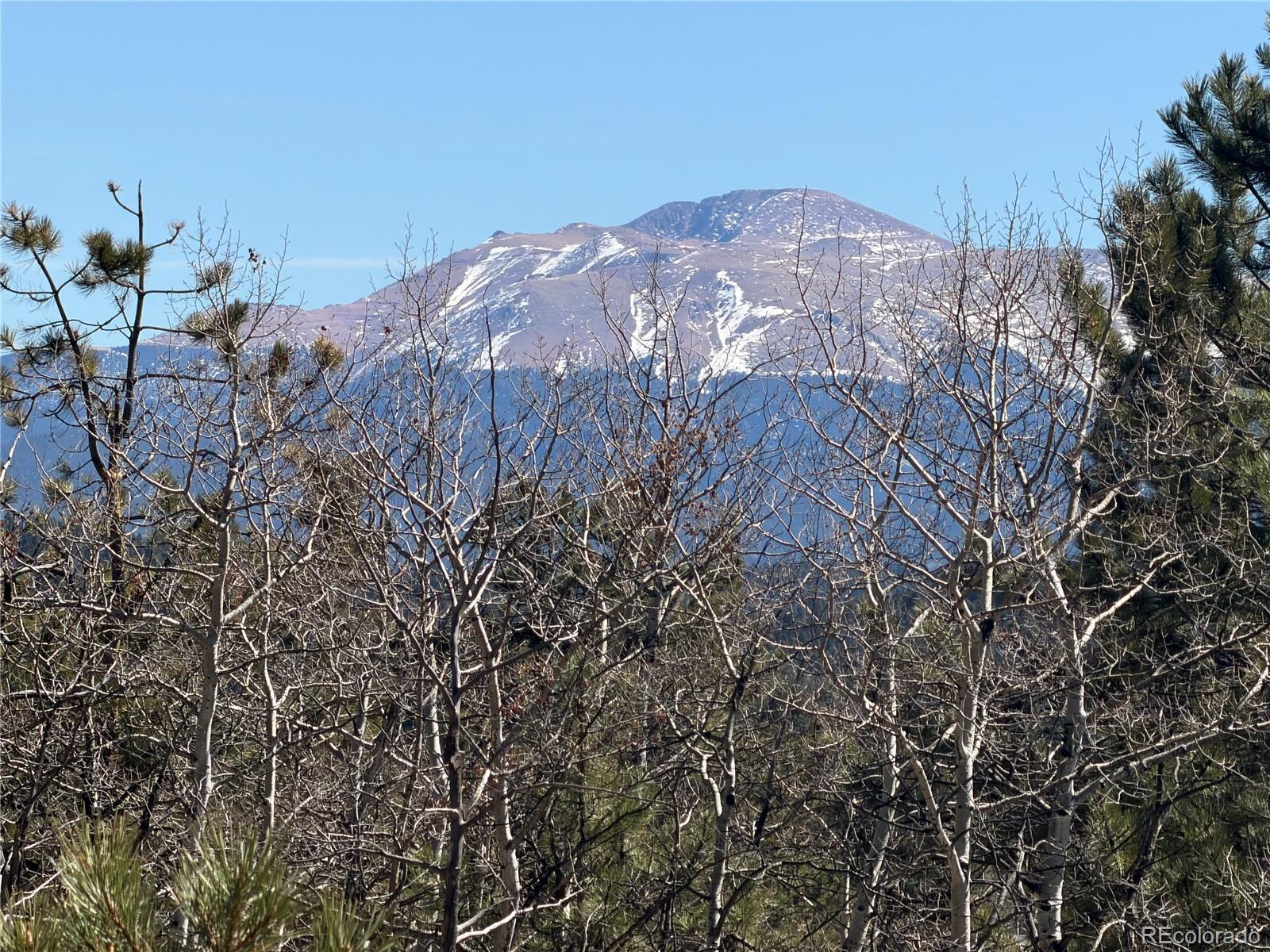 249 Gold Dust Creek Road Florissant CO 80816