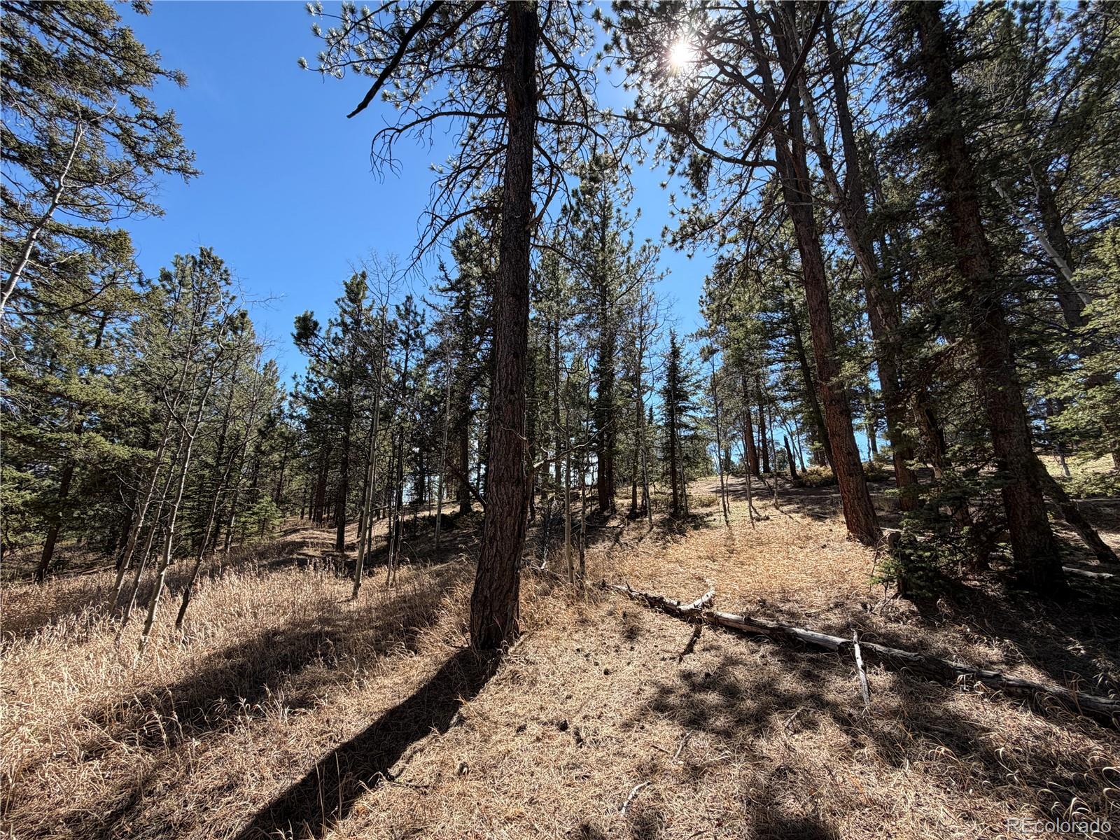 249 Gold Dust Creek Road Florissant CO 80816
