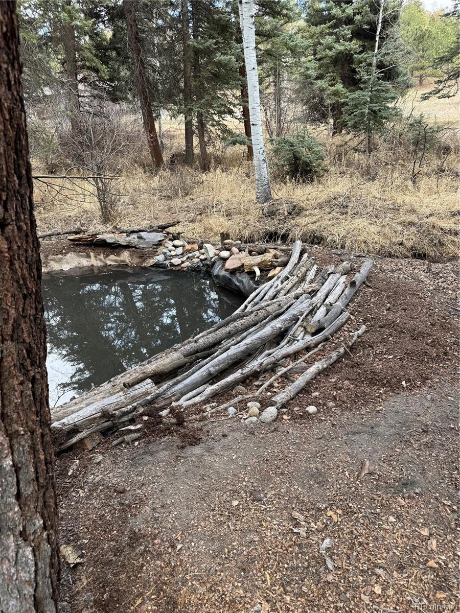 249 Gold Dust Creek Road Florissant CO 80816