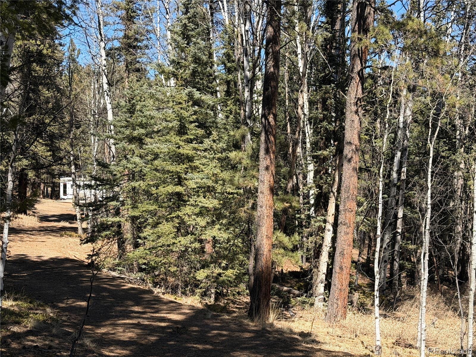 249 Gold Dust Creek Road Florissant CO 80816