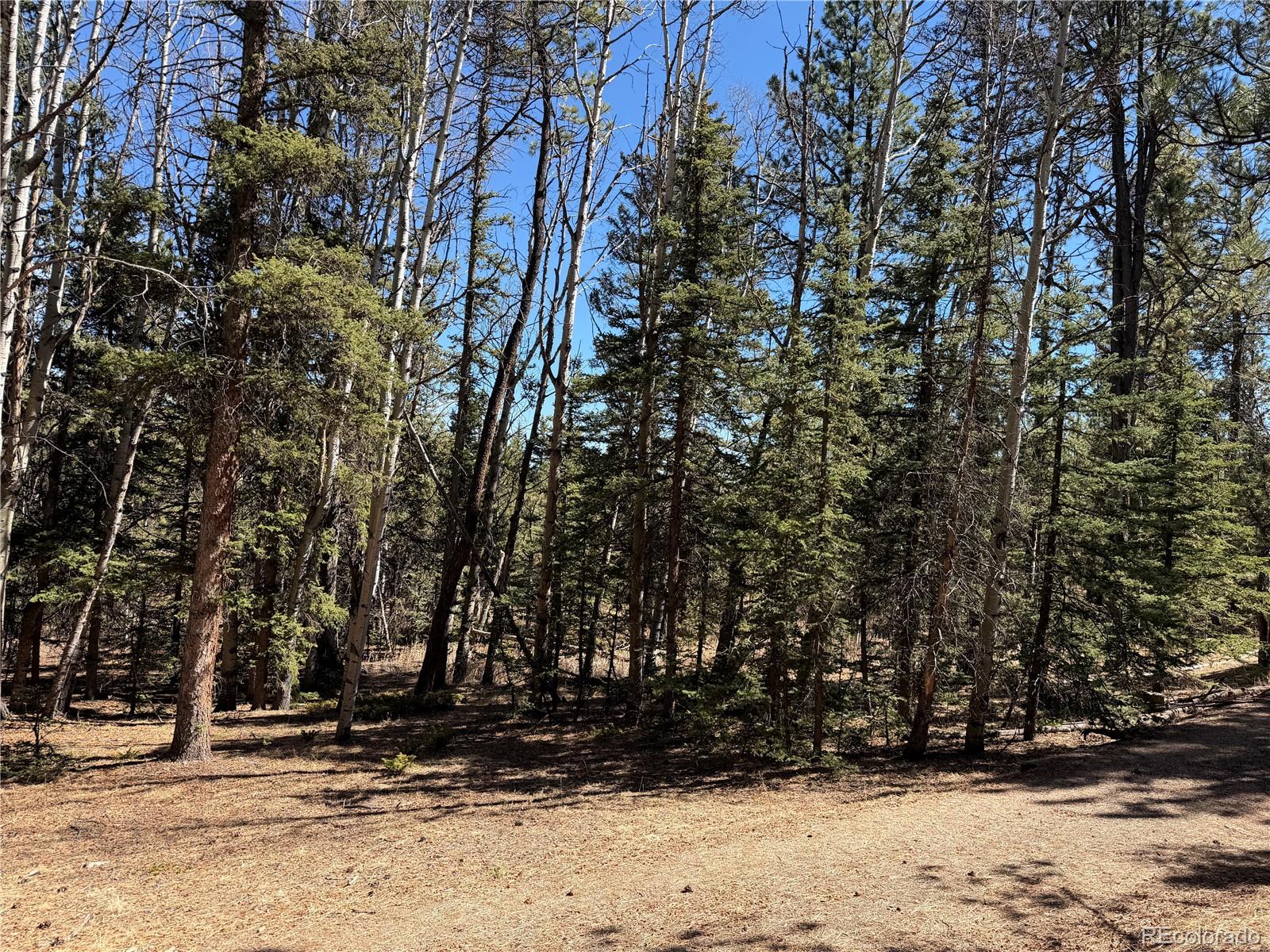 249 Gold Dust Creek Road Florissant CO 80816