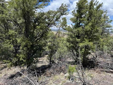 Tbd 33rd Cotopaxi CO 81223