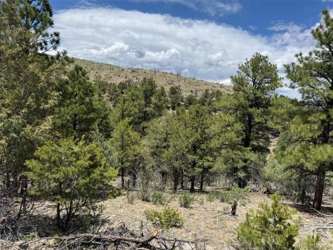 Tbd 33rd Cotopaxi CO 81223