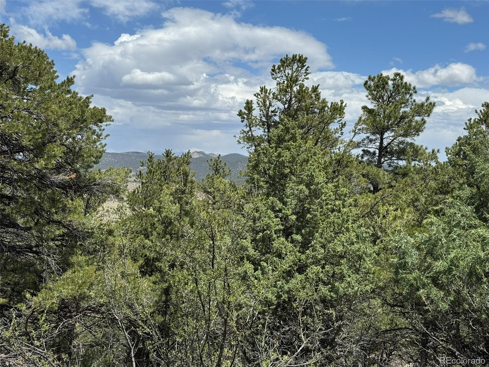 Tbd 33rd Cotopaxi CO 81223
