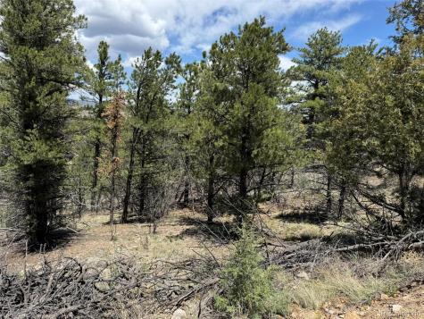 Tbd 33rd Cotopaxi CO 81223