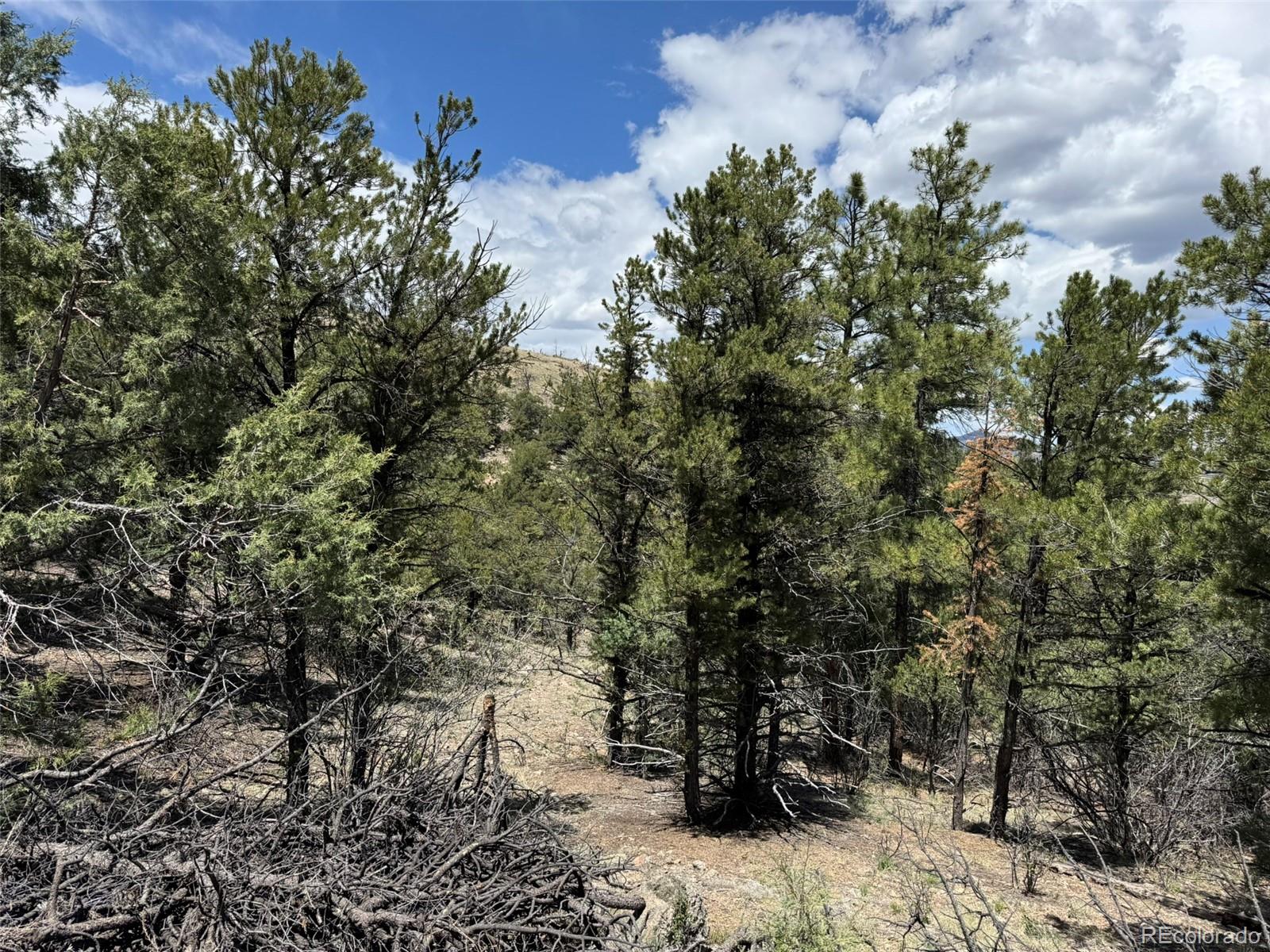 Tbd 33rd Cotopaxi CO 81223
