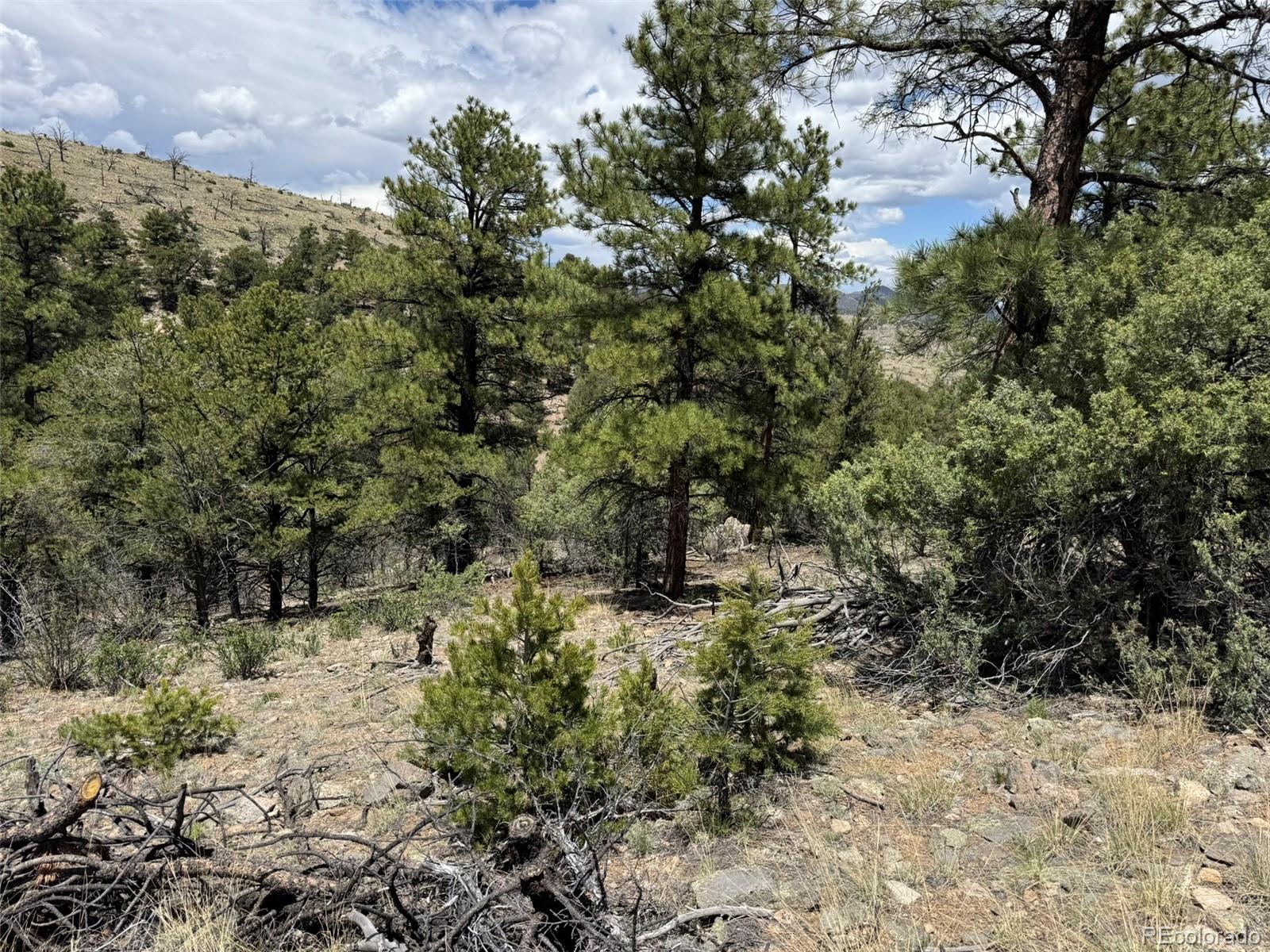 Tbd 33rd Cotopaxi CO 81223