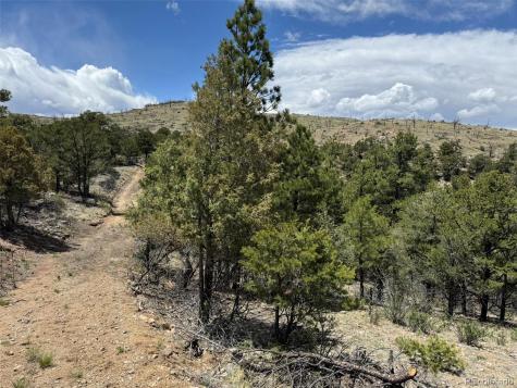 Tbd 33rd Cotopaxi CO 81223