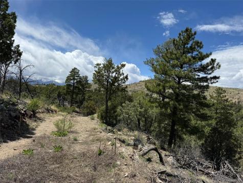 Tbd 33rd Cotopaxi CO 81223