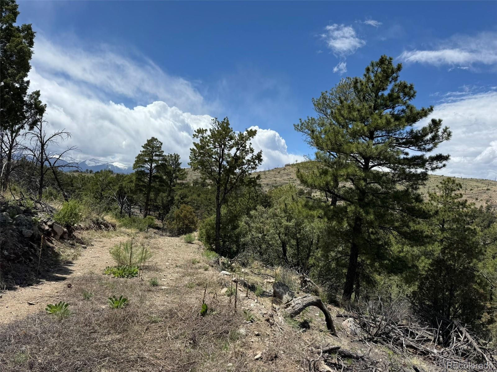 Tbd 33rd Cotopaxi CO 81223