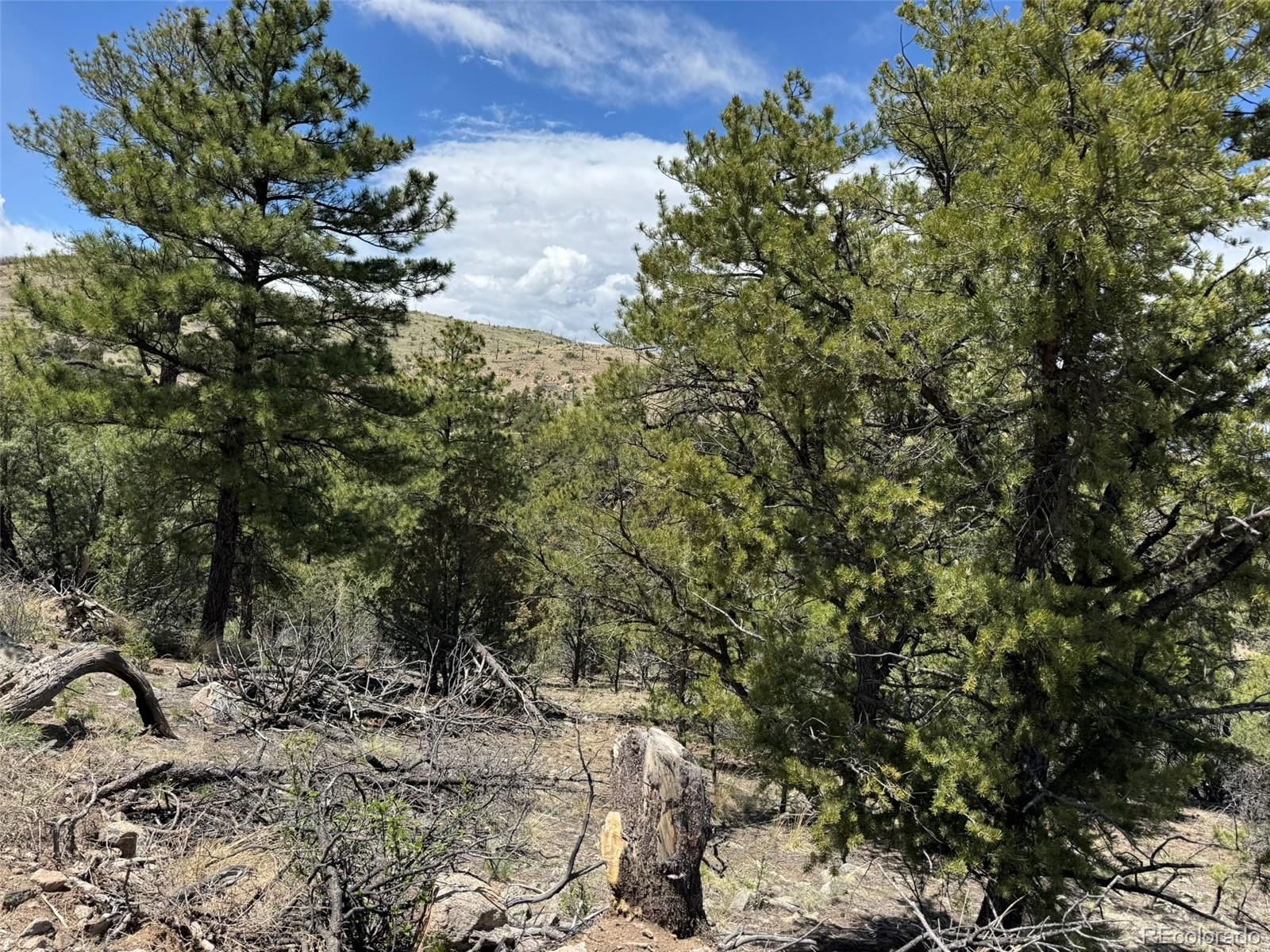 Tbd 33rd Cotopaxi CO 81223