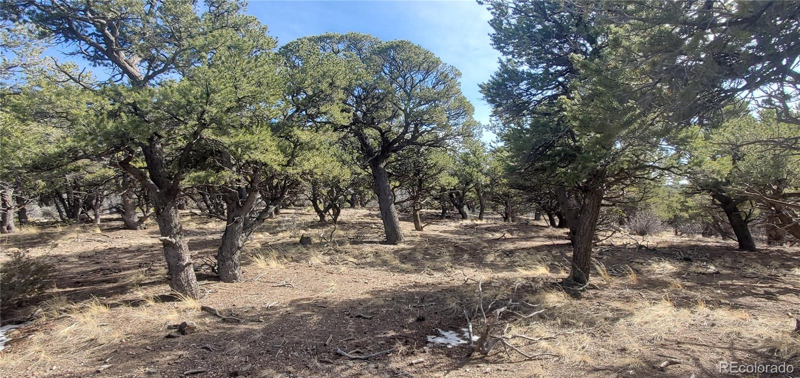Lot 7274 Barker Road Fort Garland CO 81133