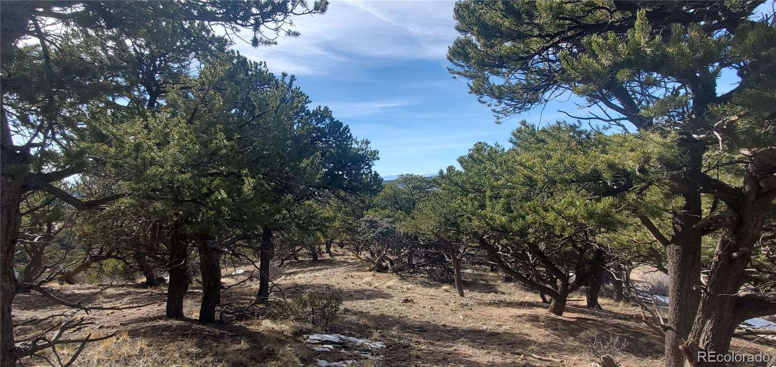 Lot 7274 Barker Road Fort Garland CO 81133