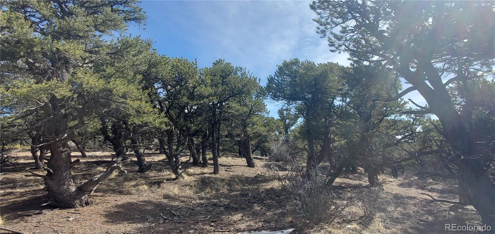 Lot 7274 Barker Road Fort Garland CO 81133
