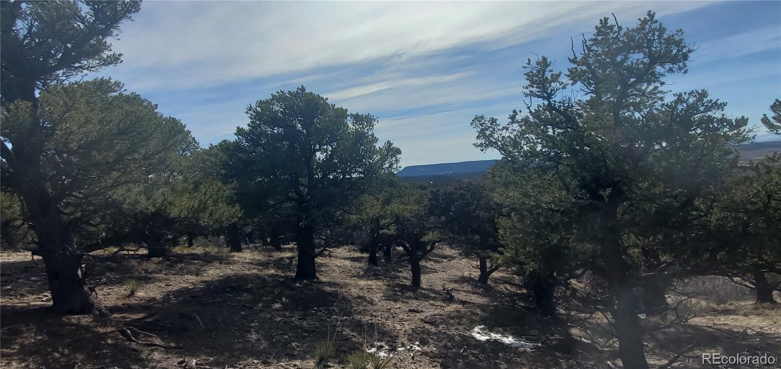 Lot 7274 Barker Road Fort Garland CO 81133