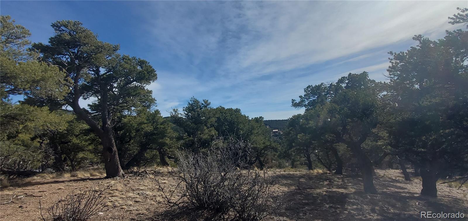 Lot 7274 Barker Road Fort Garland CO 81133