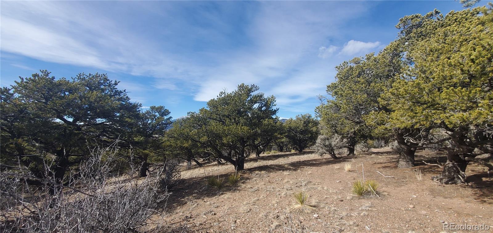 Lot 7274 Barker Road Fort Garland CO 81133
