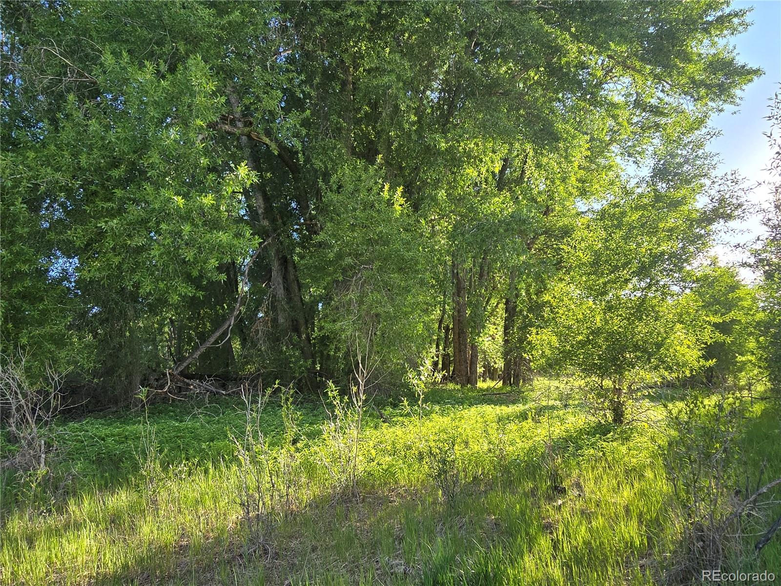 118 Caddis Circle South Fork CO 81154