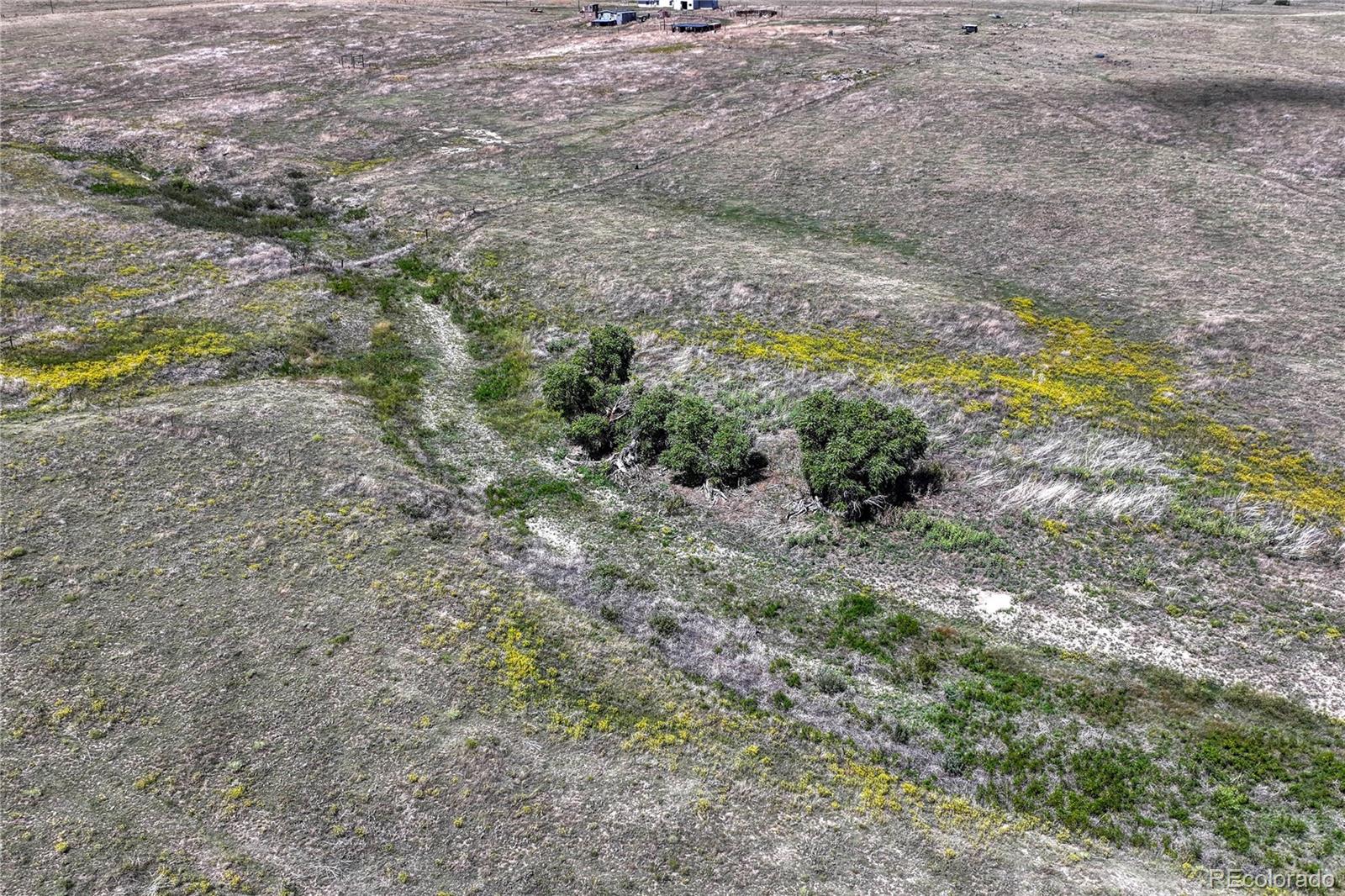 Fiddleback Ranch Road Kiowa CO 80117