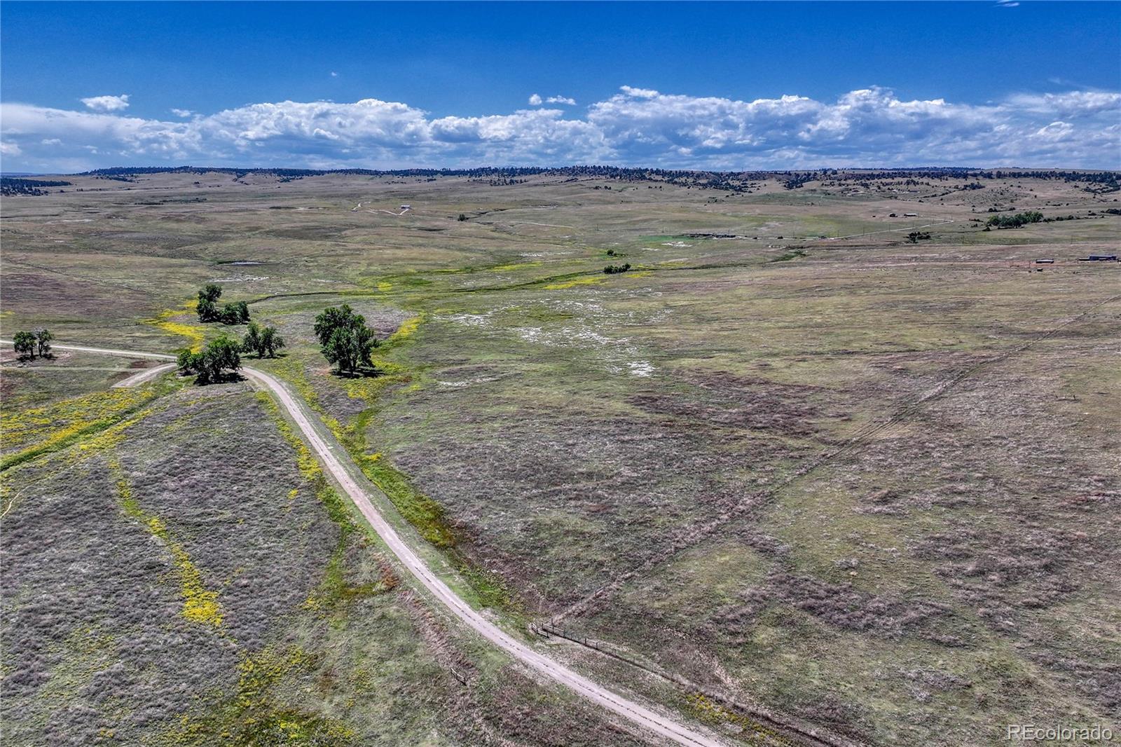 Fiddleback Ranch Road Kiowa CO 80117