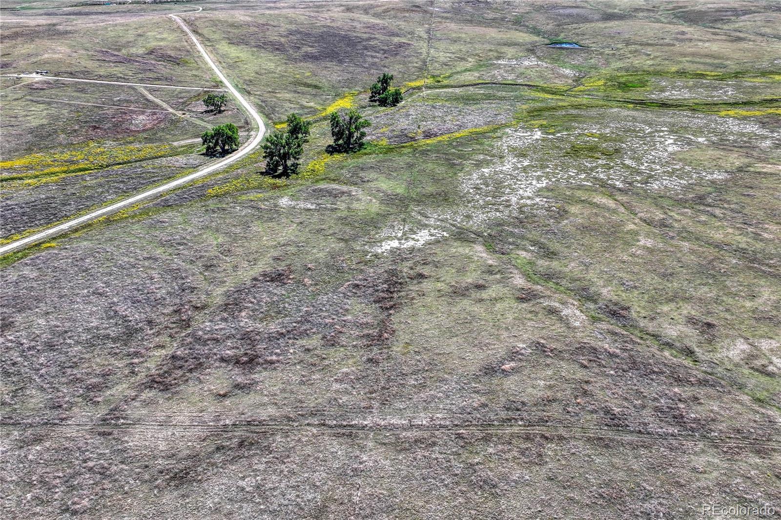 Fiddleback Ranch Road Kiowa CO 80117