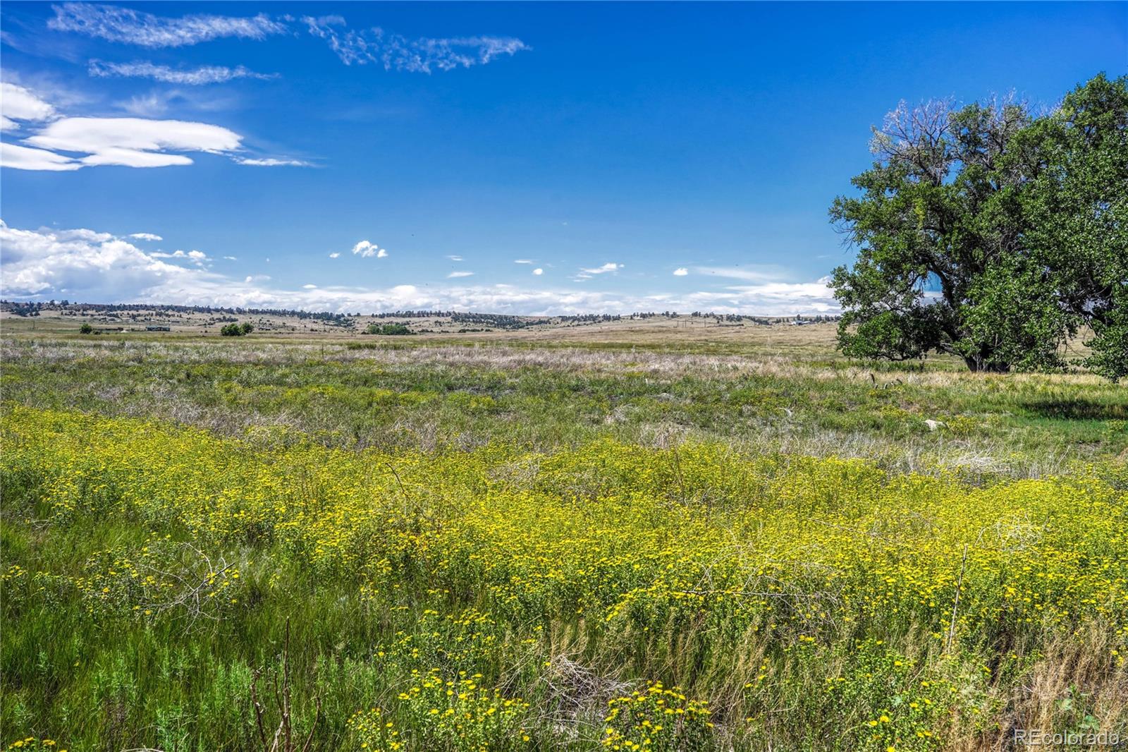Fiddleback Ranch Road Kiowa CO 80117