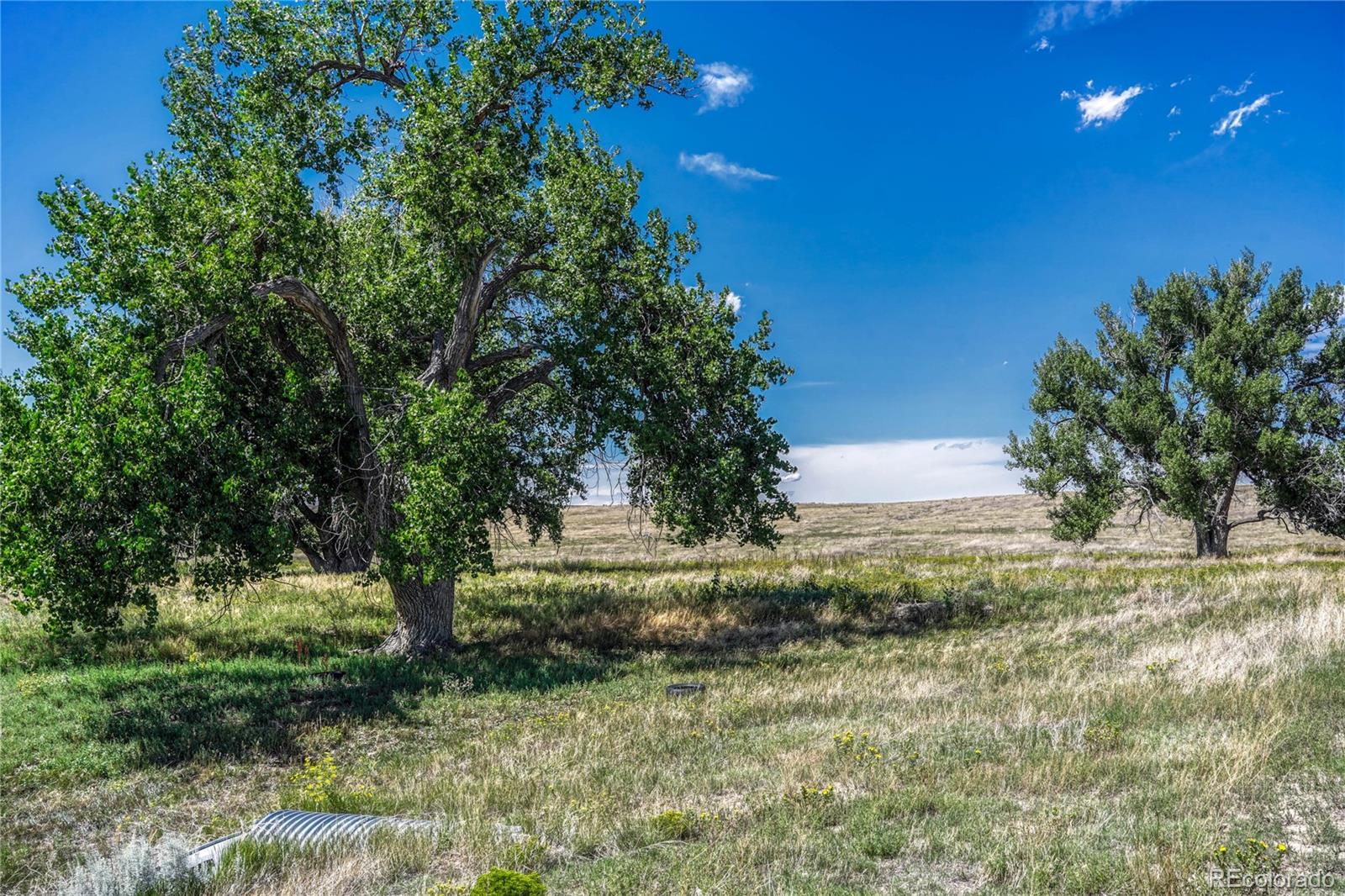 Fiddleback Ranch Road Kiowa CO 80117