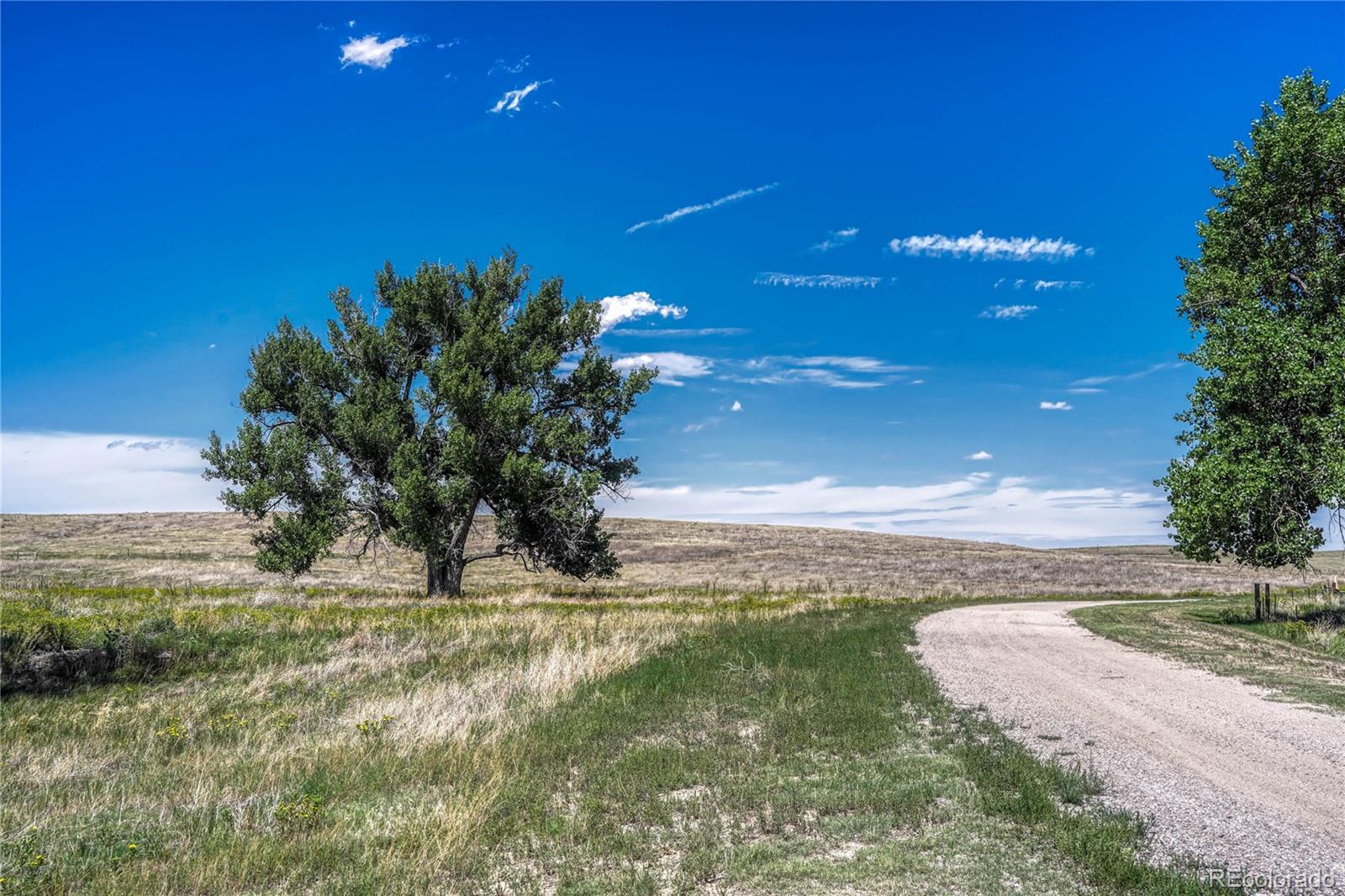 Fiddleback Ranch Road Kiowa CO 80117