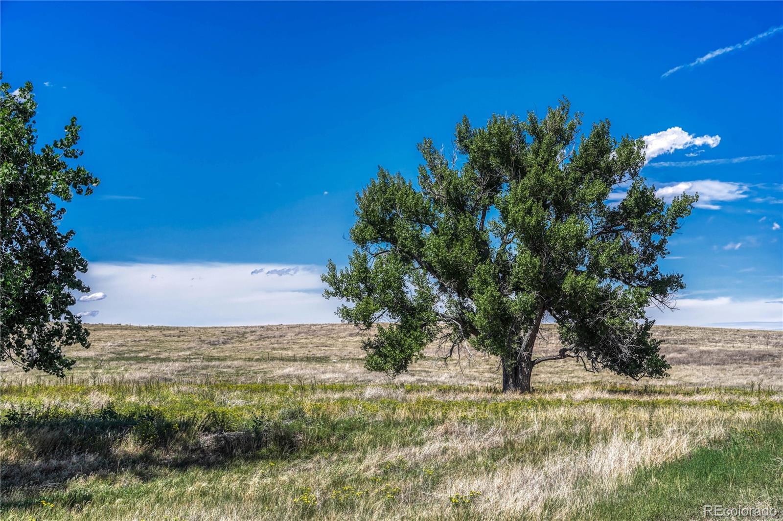 Fiddleback Ranch Road Kiowa CO 80117