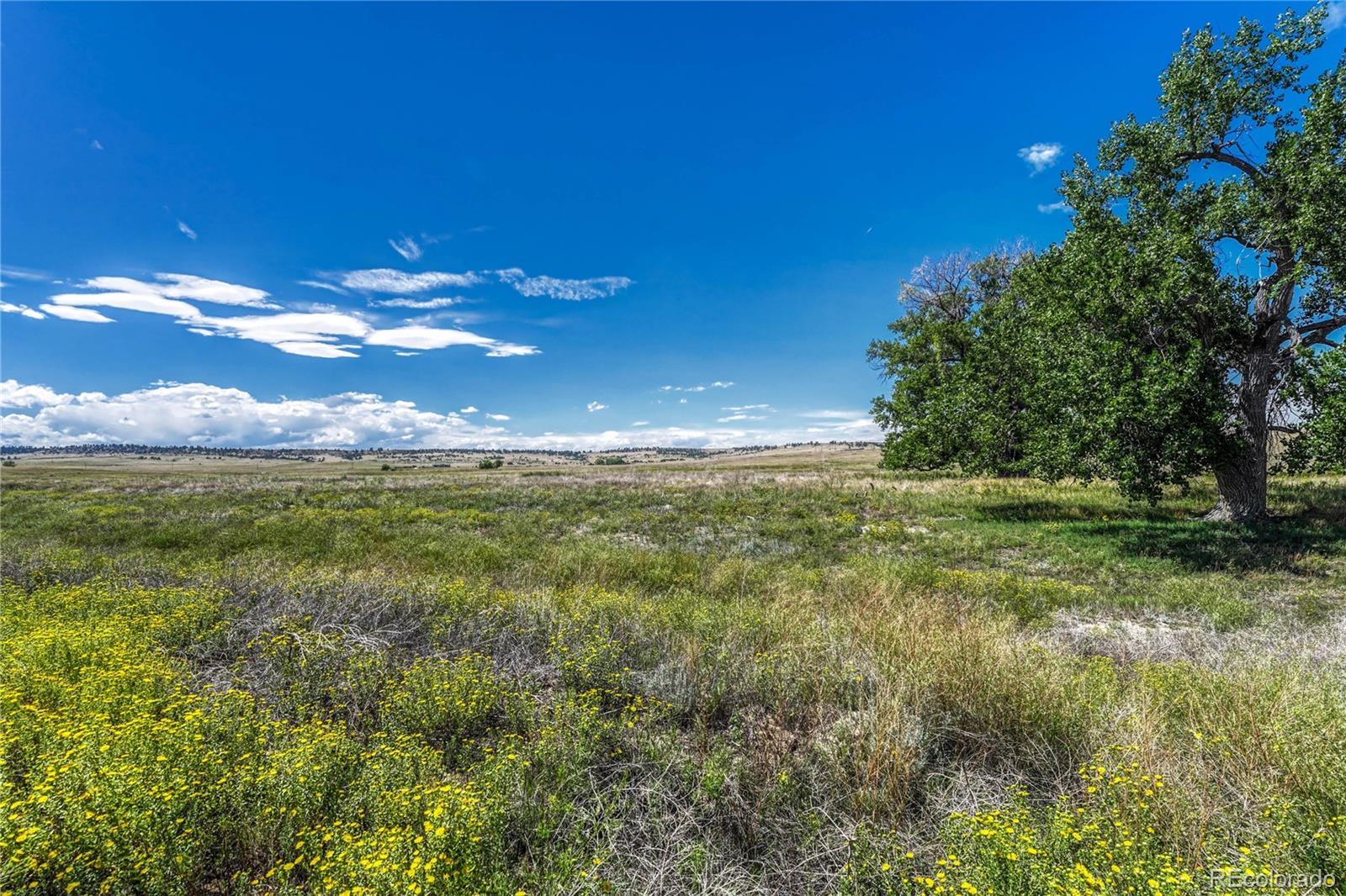 Fiddleback Ranch Road Kiowa CO 80117