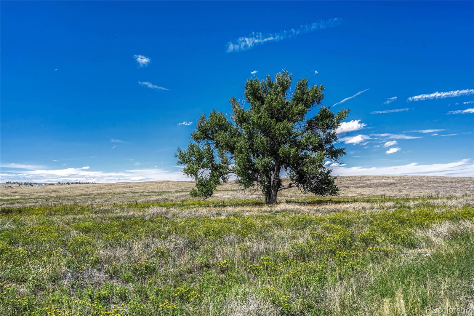 Fiddleback Ranch Road Kiowa CO 80117