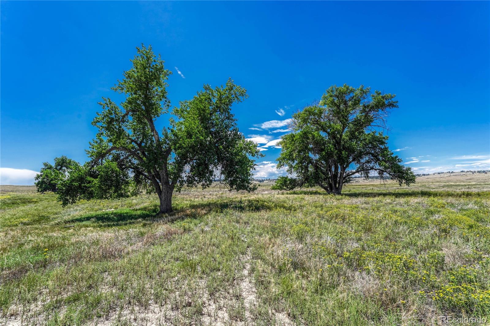 Fiddleback Ranch Road Kiowa CO 80117