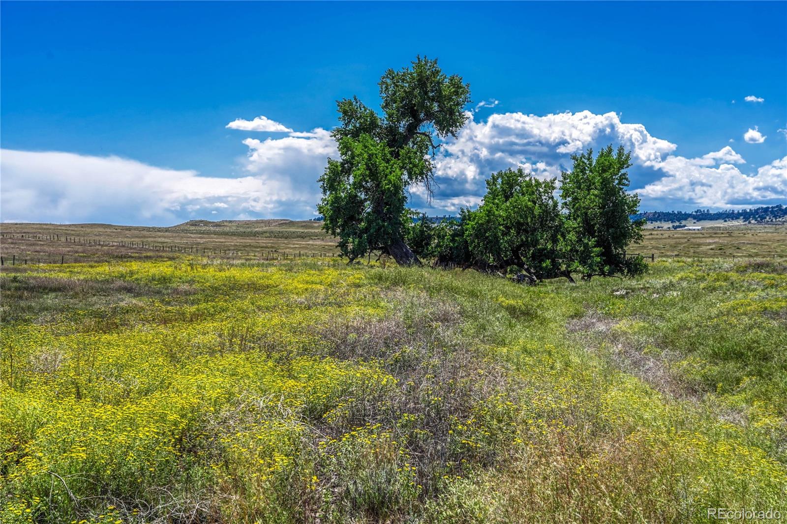Fiddleback Ranch Road Kiowa CO 80117