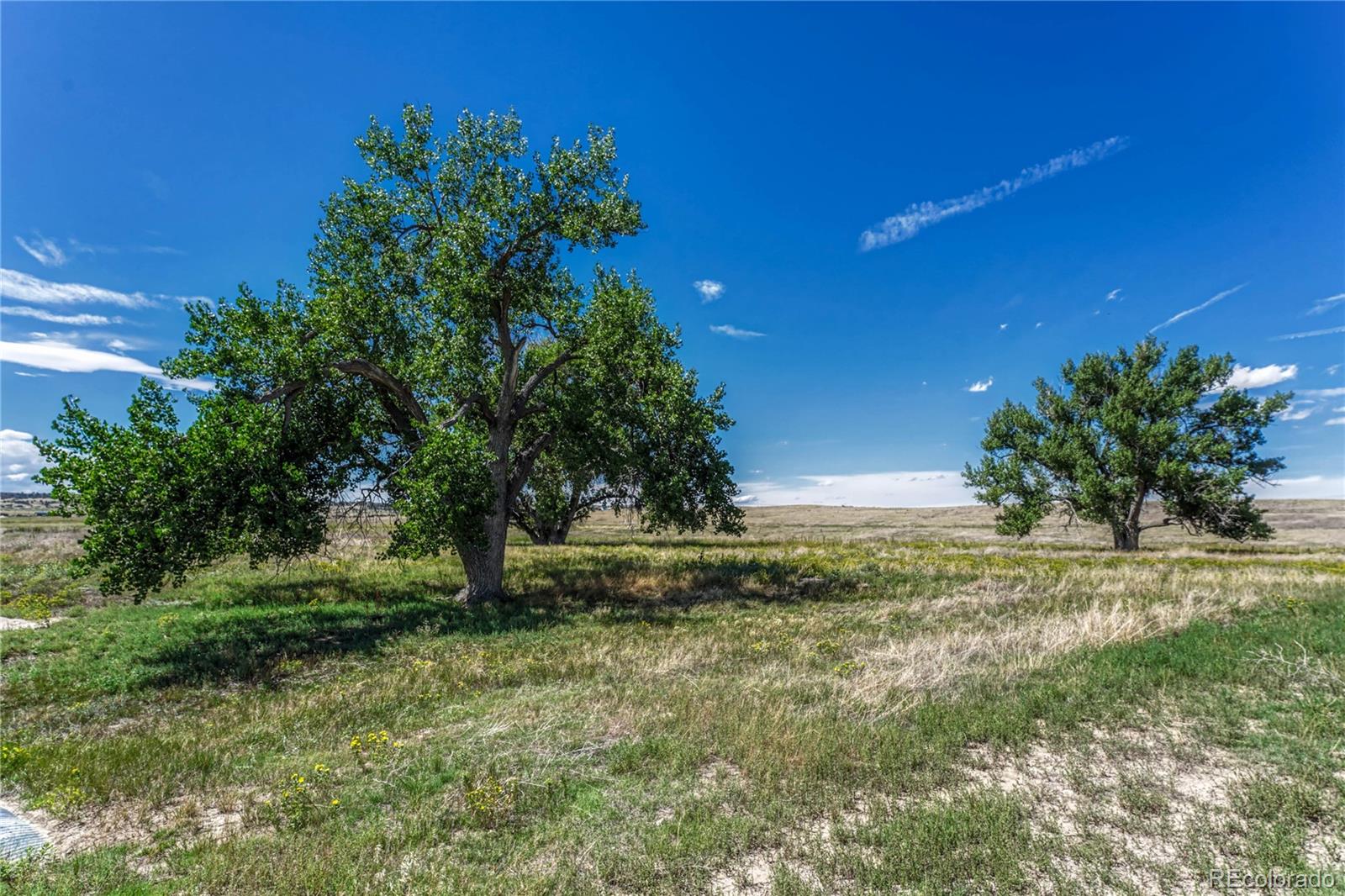 Fiddleback Ranch Road Kiowa CO 80117