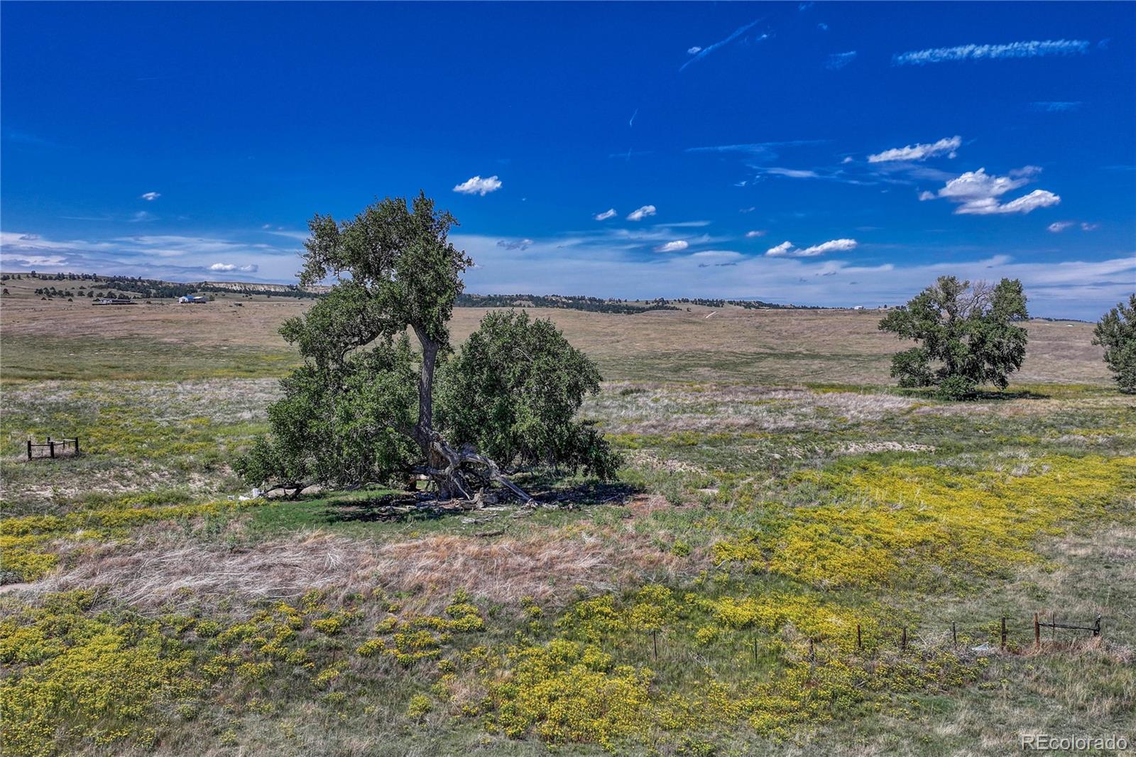 Fiddleback Ranch Road Kiowa CO 80117