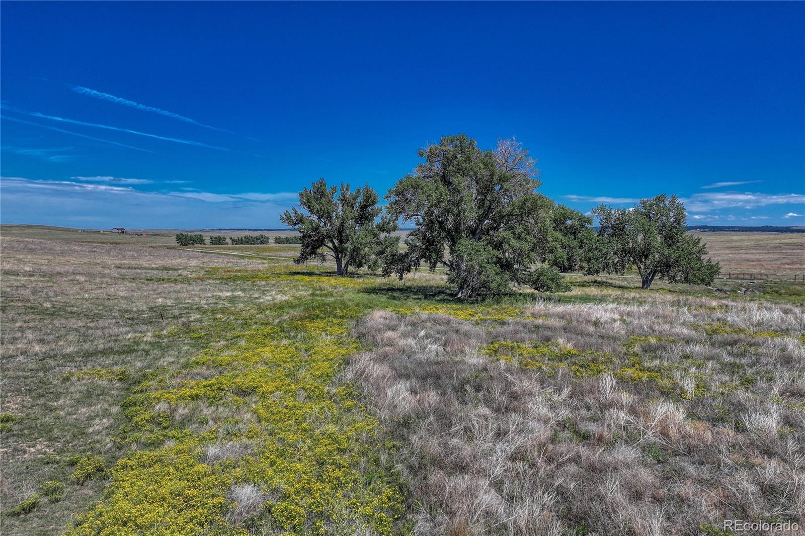 Fiddleback Ranch Road Kiowa CO 80117