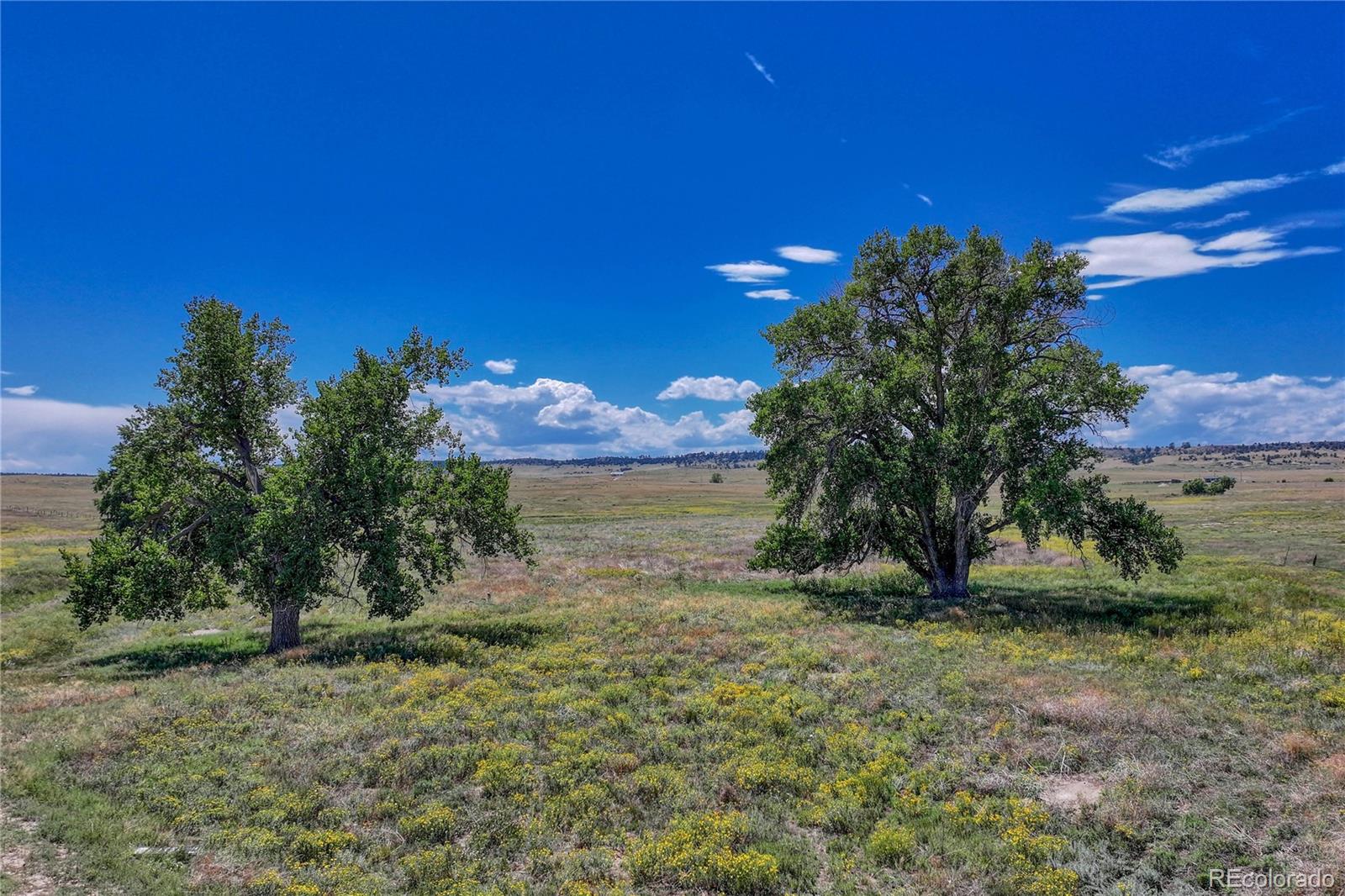 Fiddleback Ranch Road Kiowa CO 80117
