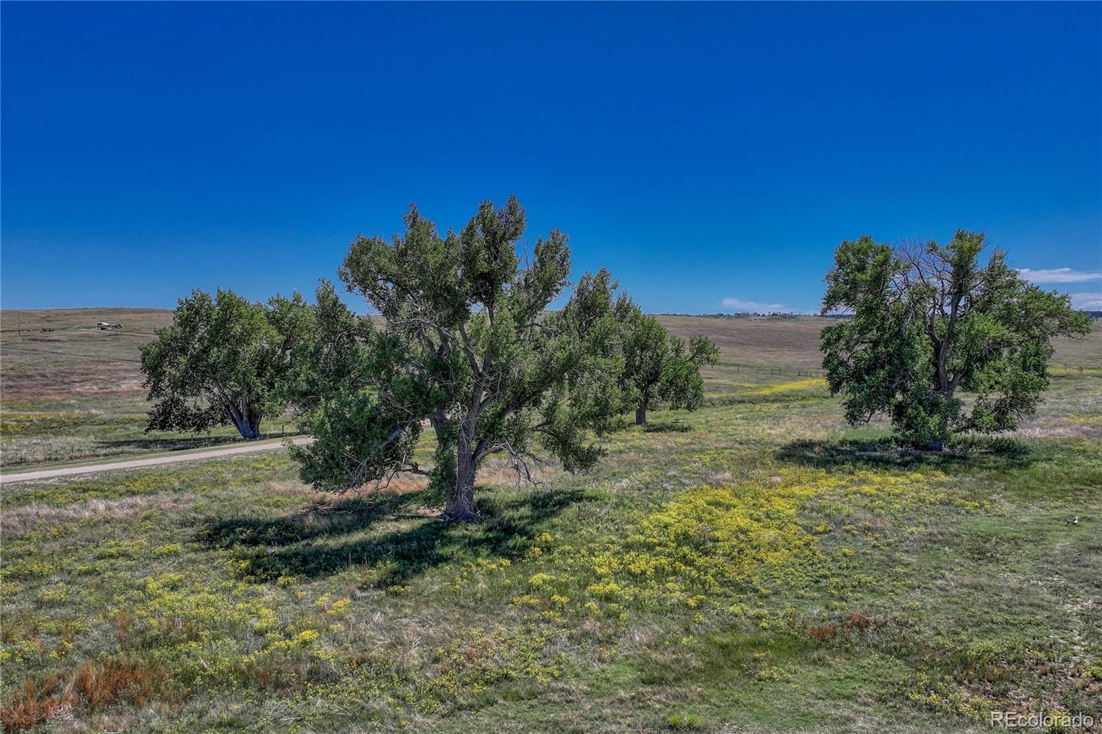 Fiddleback Ranch Road Kiowa CO 80117