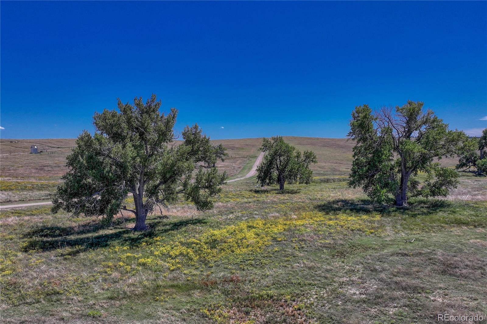 Fiddleback Ranch Road Kiowa CO 80117