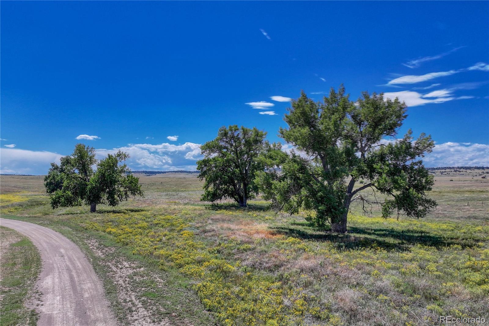 Fiddleback Ranch Road Kiowa CO 80117