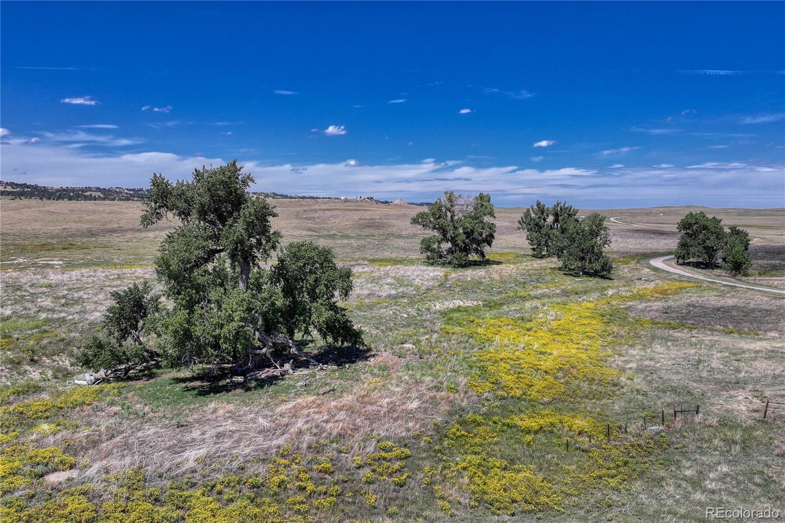 Fiddleback Ranch Road Kiowa CO 80117