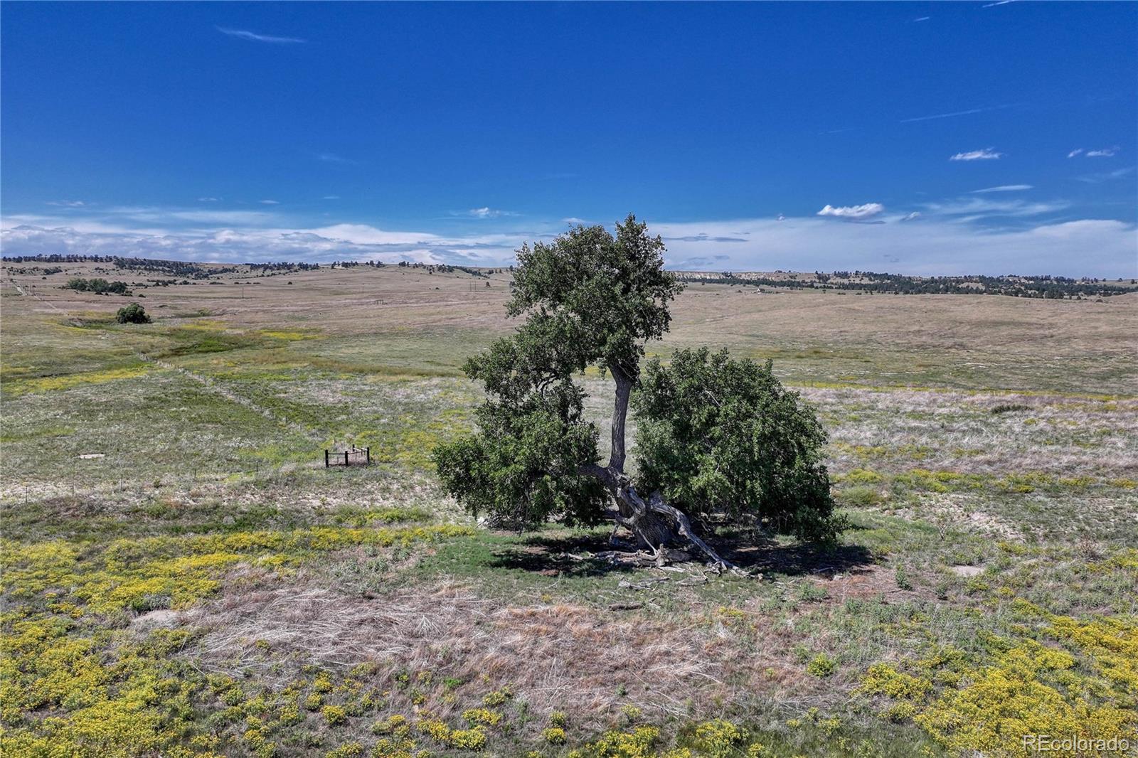 Fiddleback Ranch Road Kiowa CO 80117
