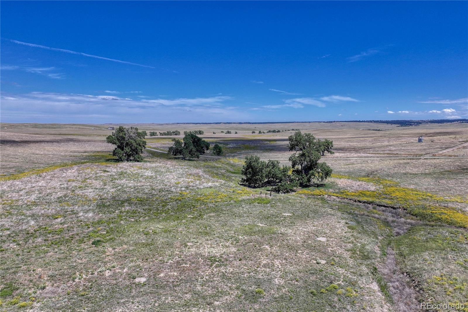 Fiddleback Ranch Road Kiowa CO 80117