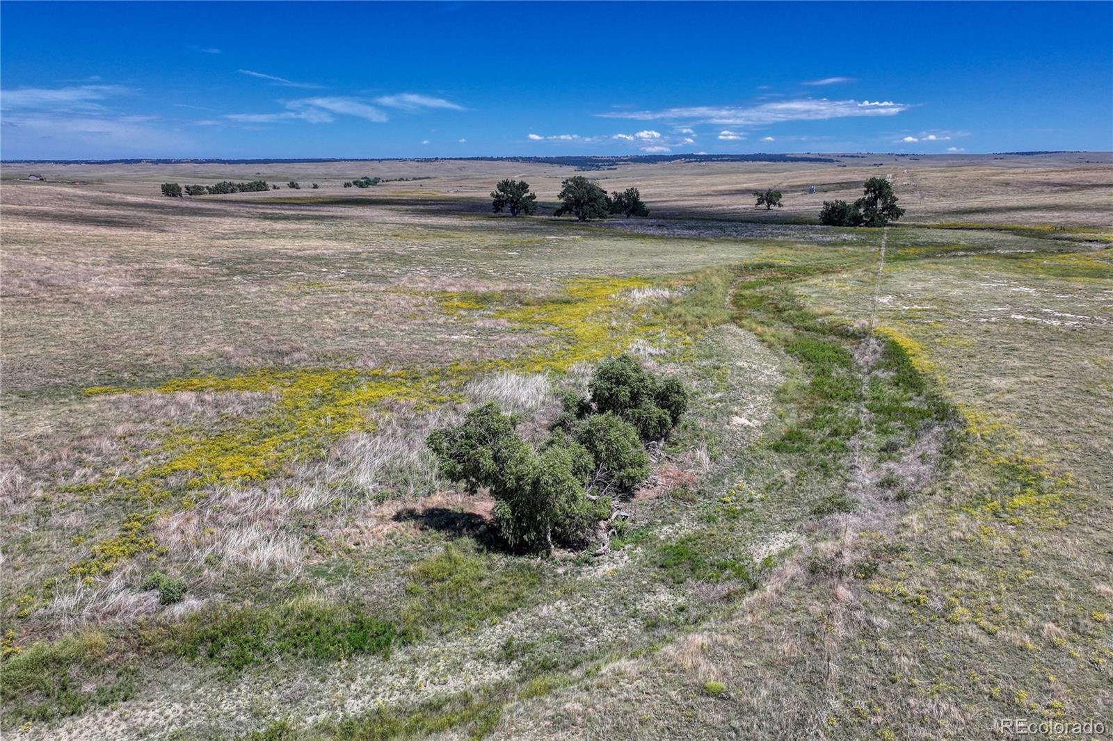 Fiddleback Ranch Road Kiowa CO 80117
