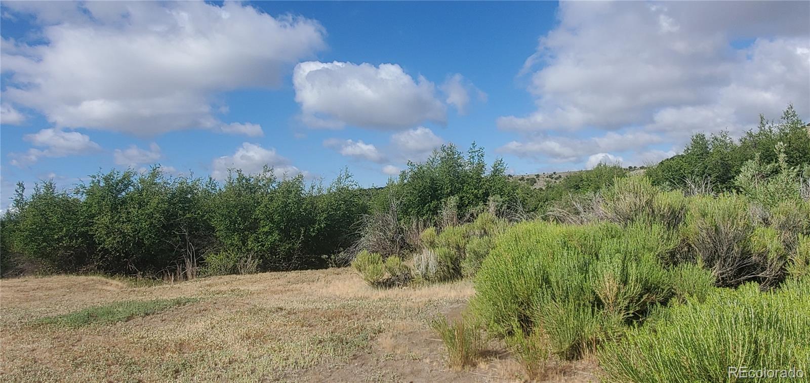 Lot 4053 Hilton Road Fort Garland CO 81133